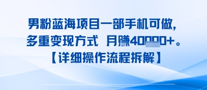 8月新男粉蓝海项目一部手机可做，多重变现方式 月入4W+【详细操作流程拆解】-网创前栈