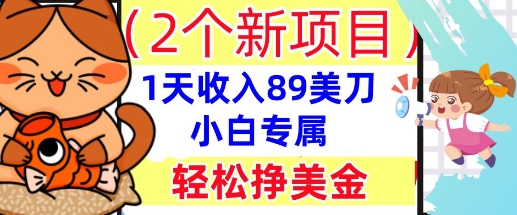 2个新项目，轻松挣美金， 1天收入89美刀，小白专属，干货分享-网创前栈