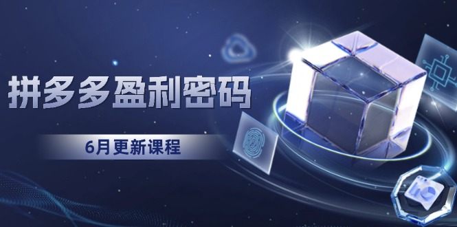 （15005期）拼多多盈利密码：从烧钱推广到印钞模型，底层逻辑重构指南（6月更新）-网创前栈