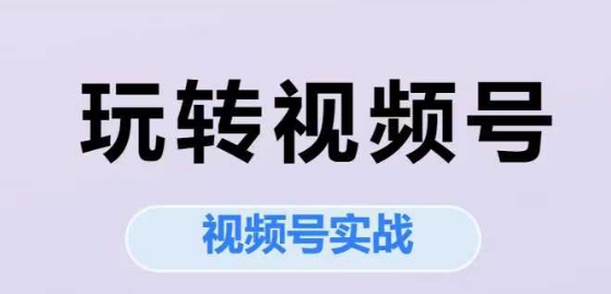 玩转视频号，视频号实战系列课-网创前栈