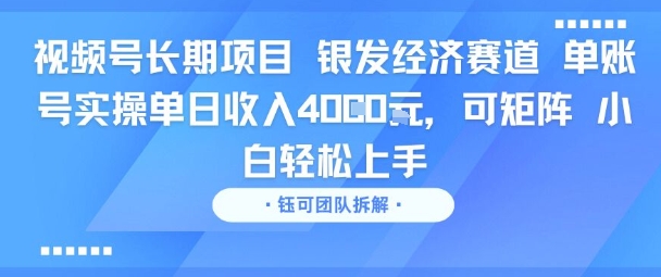 视频号长期项目 银发经济赛道 单账号实操单日收入1k，可矩阵 小白轻松上手-网创前栈