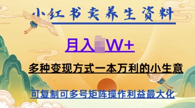 在小红书上卖养生资料，月入1w+，多种变现方式一本万利的小生意-网创前栈