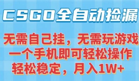 CSGO自动捡漏项目，最新独家玩法，一个手机可操作，新手小白轻松月入1W+，操作简单易上手【揭秘】-网创前栈