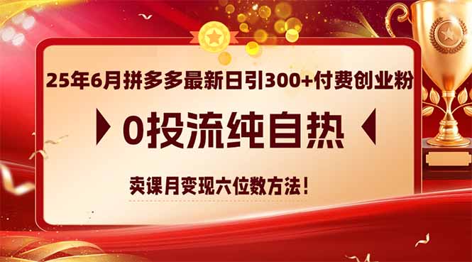 （14989期）25年6月拼多多最新日引300+付费创业粉，0投流纯自热 卖课月变现六位数方法-网创前栈