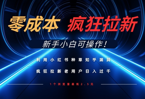 利用小红书种草知乎漏洞，零成本疯狂拉新日入数张，新手小白可操作-网创前栈