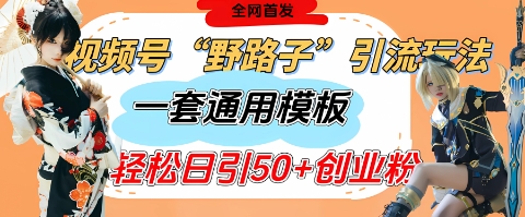 视频号“野路子”玩法，评论区疯狂截流，一套模板单日单号引流50+创业粉-网创前栈