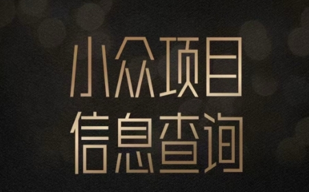小众蓝海项目情感查询，女粉暴力掘金，轻松日入500+【揭秘】-网创前栈