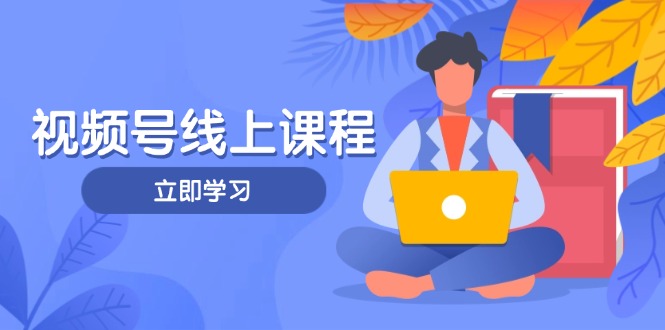（14360期）视频号实战课程，轻IP打造与运营技巧，掌握核心方法与策略-网创前栈