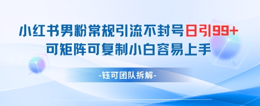 小红书男粉常规引流不封号日引99+变现简单 可矩阵可复制小白容易上手-网创前栈