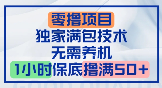 零撸顶配玩法，独家满包技术，无需养机，1小时保底撸满50+-网创前栈