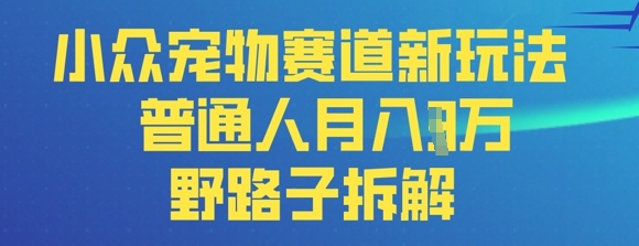 小众宠物赛道新玩法，普通人月入过1W的野路子拆解-网创前栈