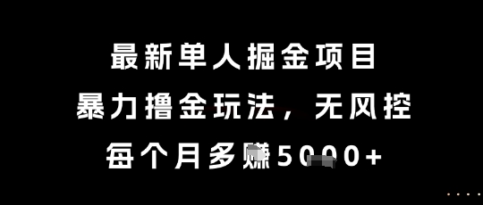最新单人掘金项目，暴力撸金玩法，无风控，每个月多挣5k+【揭秘】-网创前栈