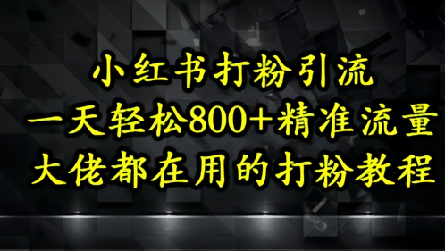 小红书打粉引流，一天轻松500+精准流量，大佬都在用的打粉教程-网创前栈