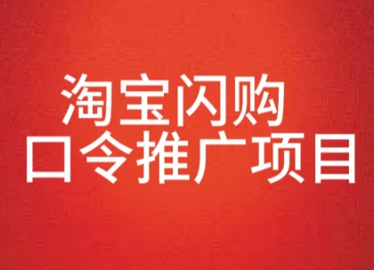 淘宝闪购口令推广项目，收益可观，一部手机，一个抖音号即可操作-网创前栈