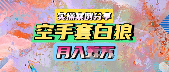 空手套白狼，月入过1W，实操案例分享-网创前栈