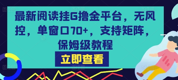 最新阅读挂G撸金平台，无风控，单窗口70+，支持矩阵，保姆级教程【揭秘】-网创前栈