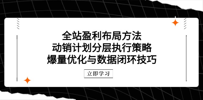 （14698期）全站盈利布局方法：动销计划分层执行策略，爆量优化与数据闭环技巧-网创前栈