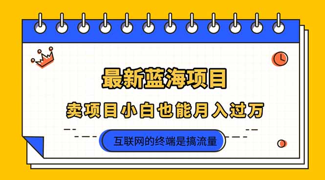 （14289期）2025年最新蓝海项目，卖项目小白也能月入过万-网创前栈