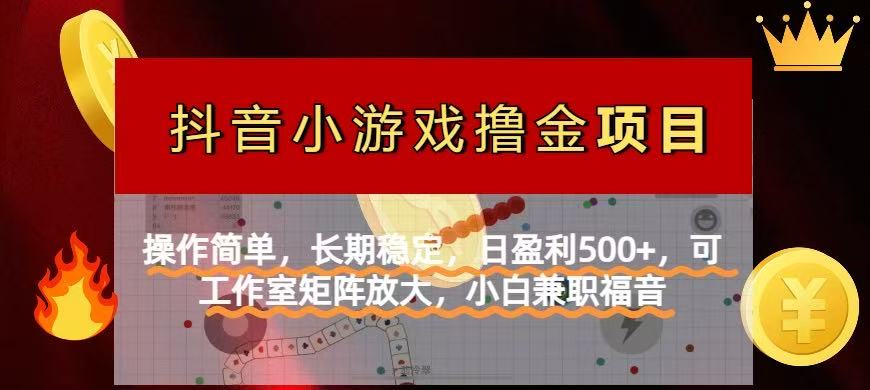 （14290期）【抖音小游戏发行人计划项目】操作简单，长期稳定，日盈利500+，可工作…-网创前栈