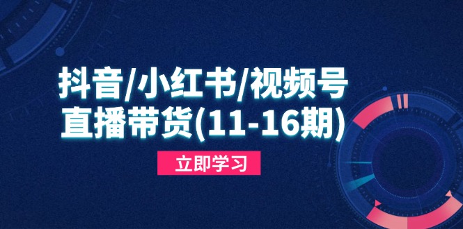 （14611期）抖音/小红书/视频号/直播带货(11-16期)，快速掌握平台规则，打造爆款内容-网创前栈