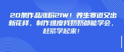 20条作品涨粉21W！养生赛道又出新花样，制作难度我奶奶都能学会，赶紧学起来-网创前栈