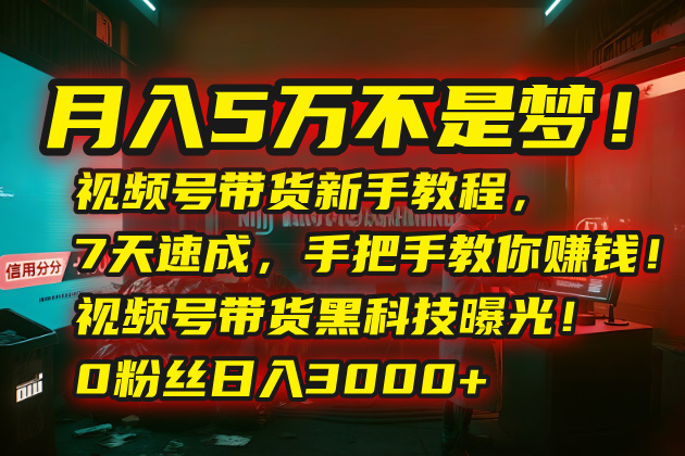 （15595期）月入5万不是梦！视频号带货新手教程，7天速成，手把手教你赚钱！视频号…-网创前栈
