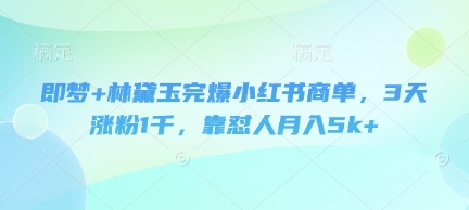 即梦+林黛玉完爆小红书商单，3天涨粉1千，靠怼人月入5k+-网创前栈