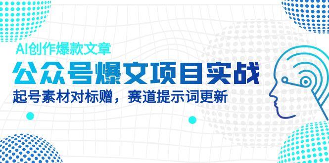 （14709期）公众号爆文项目实战，AI创作爆款文章，起号素材对标赠（附赛道AI提示词）-网创前栈