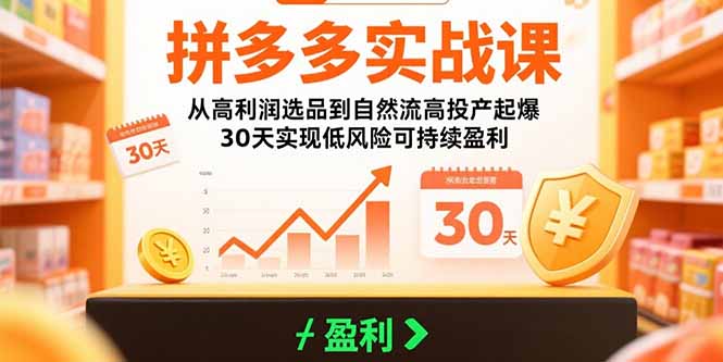 （15586期）拼多多实战课：从高利润选品到自然流高投产起爆 30天实现低风险可持续盈利-网创前栈