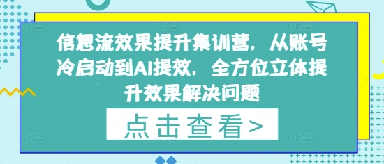 信息流效果提升集训营，从账号冷启动到AI提效，全方位立体提升效果解决问题-网创前栈