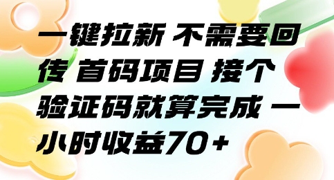 一键拉新 不需要回传 首码项目 接个验证码就算完成 一小时收益70+【揭秘】-网创前栈