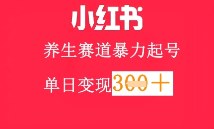 小红书养生赛道，暴力起号，轻松日入3张+-网创前栈