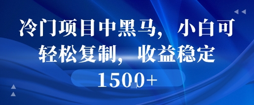 冷门项目中黑马，小白可轻松复制，收益稳定1.5k-网创前栈