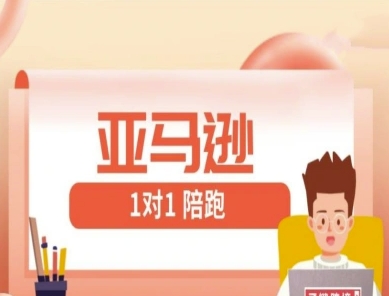 亚马逊1对1陪跑课(FBA/FBM精铺)跨境亚马逊教程-网创前栈