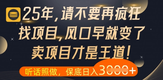 什么？25年你还在疯狂找项目做，醒醒吧，看完这些你全都懂了【揭秘】-网创前栈