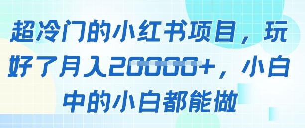超冷门的小红书项目，玩好了月入过1w，小白中的小白都能做-网创前栈