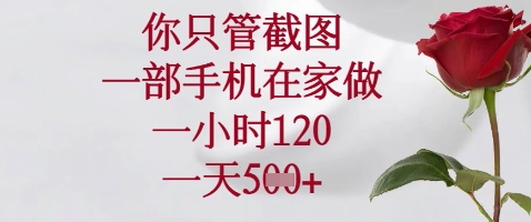 你只管截图，一部手机在家做，苹果安卓都可以，一小时120，一天5张+【揭秘】-网创前栈
