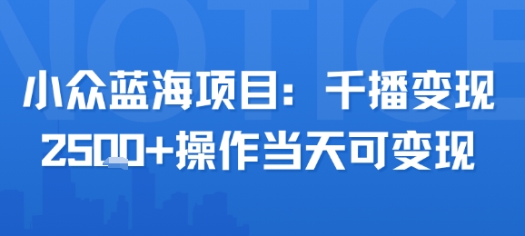 小众蓝海项目，千播变现2.5k+操作当天可变现-网创前栈