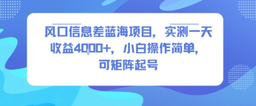 风口信息差蓝海项目，实测一天收益4k+，小白操作简单，可矩阵起号-网创前栈
