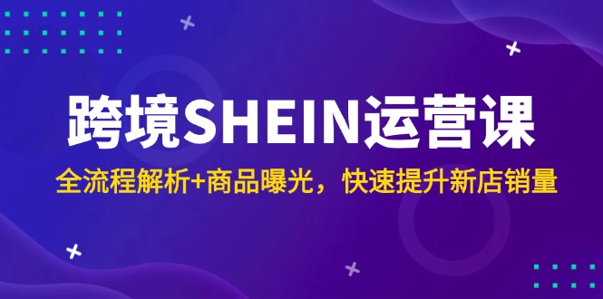 （14832期）跨境SHEIN运营课，全流程解析+商品曝光，快速提升新店销量-网创前栈