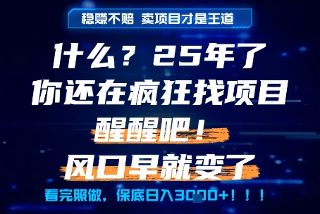 什么？25年你还在疯狂找项目做，醒醒吧，看完这些你全都懂了！【揭秘】-网创前栈