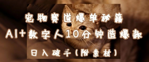 宠物赛道爆单秘籍：AI+数字人10分钟造爆款，日入1k-网创前栈