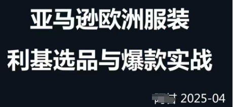 跨境电商选品案例24-25年，聚焦跨境电商选品策略与运营优化，助力卖家挖掘蓝海市场-网创前栈