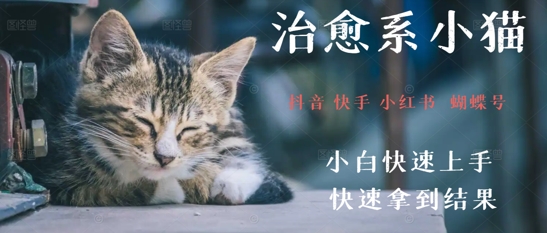 拆解，疯狂火爆！抖音，小红书，视频号小猫治愈的视频，轻松制作+快速拿到结果-网创前栈