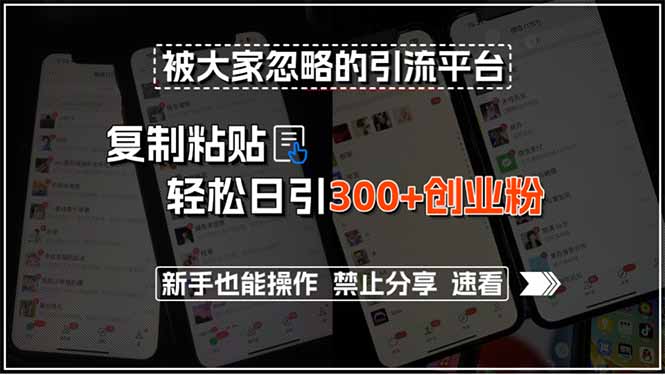 （15428期）被大家忽略的引流平台，复制粘贴轻松日引300+创业粉，新手也能操作，禁…-网创前栈