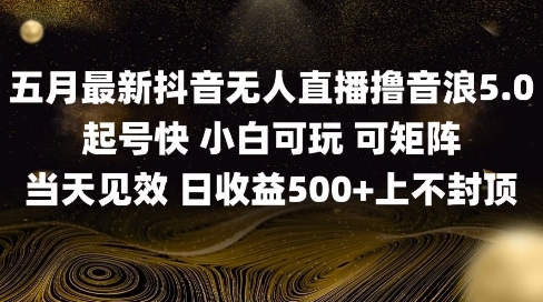 2025五月最新无人直播撸音浪单日产出5张+实操教程【揭秘】-网创前栈