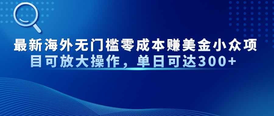 （14542期）最新海外无门槛零成本赚美金小众项目可放大操作，单日可达300+ -网创前栈