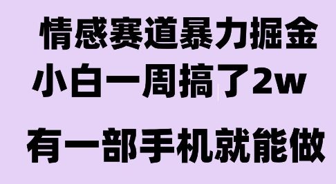 情感暴力掘金项目，新人操作一周挣了2W，长期稳定小白可做【揭秘】-网创前栈