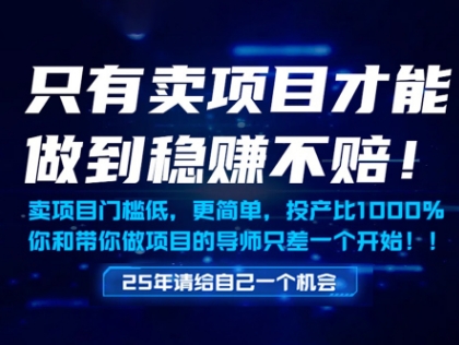 只有卖项目才能做到稳挣不赔，门槛低，更简单，你也可以年入百个W【揭秘】-网创前栈