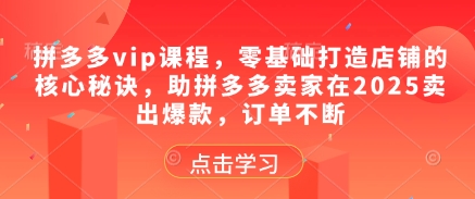 拼多多vip课程，零基础打造店铺的核心秘诀，助拼多多卖家在2025卖出爆款，订单不断-网创前栈